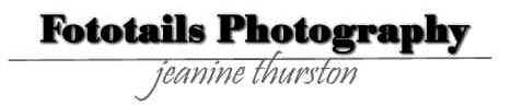 CO_FototailsPhotography.jpg (6528 bytes)